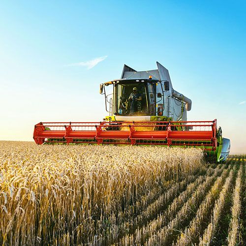 It's a big dream, but let's get a farm!