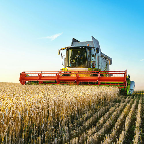 It's a big dream, but let's get a farm!